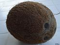 8 noix de coco